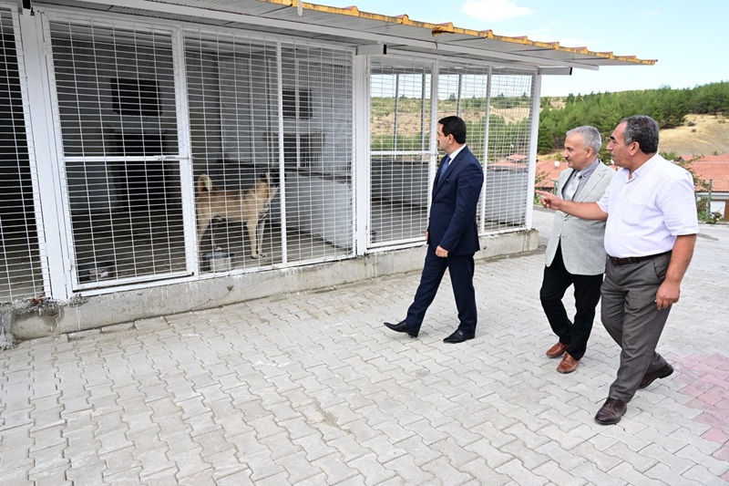 Başkan Taşkın, Hayvan Barınağında İncelemelerde Bulundu